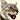 miau
