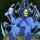 PsySkeletorclass=
