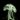 crob