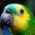 greenparrot