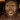 Australopithecus