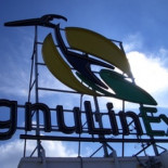 La Cigüeña del Linex está enferma