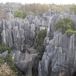 Un paseo por el bosque de piedra, en China