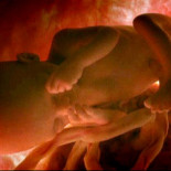 Gestación de un bebé