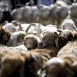 La Humanidad necesitará dos planetas en 2030 para mantener su nivel de consumo