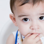 Los bebés conocen cientos de palabras antes de poder hablar