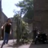 "Steven Seagal corre como una putilla" [Humor]