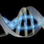 Decodifican por primera vez el genoma de una paciente con cáncer