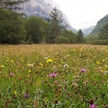 Se crea un movimiento que promueve la extinción del ser humano