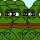 Rarepepelarana