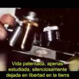 ¿Vivimos el fin de un imperio?