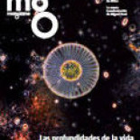 El Tribunal Supremo turco anula la ilegalización de una asociación de defensa de homosexuales