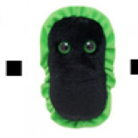 10 curiosidades bioquímicas sobre nuestro cuerpo