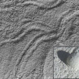 Una bola en el fondo del mar llena de dudas a los científicos