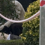 El empresario asesinado llevaba más de 20 años negándose a pagar el 'impuesto revolucionario'