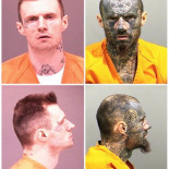 Metamorfosis de un delincuente