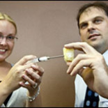 "Huesos inyectables" contra fracturas