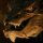 Smaug