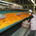 Los empresarios proponen subir el IVA al 18% y trasladar los festivos a lunes