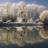 El invierno sobre los árboles