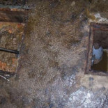 Denuncian a una empresa de recogida de aceite usado por tirarlo a la alcantarilla