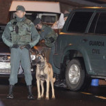 Sólo la detención de Esparza Luri en 2004 ha permitido encarcelar a 50 etarras más