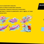 ¿Son todos los jóvonos tontos, monostro do sonodod?