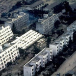 Las 10 mejores curiosidades de la naturaleza