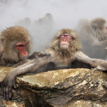 ¿Y a quién no le gusta un baño caliente?