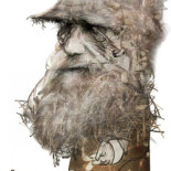 Desmienten que los hijos de primos hermanos presenten problemas congénitos