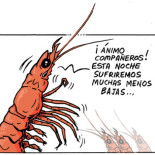 Nochebuena en el Frente Langostino