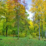 Un año en 40 segundos ...