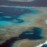La Gran Barrera de Coral para de crecer