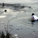 Hombre arriesga su vida para salvar a su perro del hielo