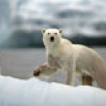 La naturaleza en su máximo esplendor en la nueva serie de la BBC de David Attenborough  [Eng]