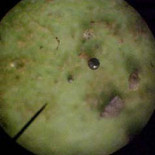 ¿Cómo capturar micrometeoritos?