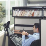 Afirmar que los funcionarios son unos vagos no atenta a su honor