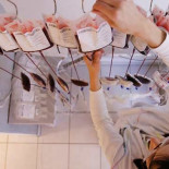 Se necesita sangre de los grupos 0 y A en Madrid, Andalucía y Aragón