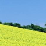 China contrata 300.000 propagandistas online