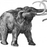 Enfermedades que se autoextinguieron