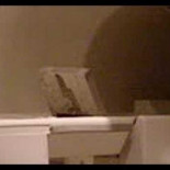 «Magia» con un equipo de resonancia magnética