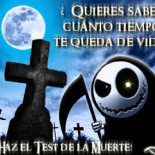 Siempre aparece un idiota que mata a la gallina