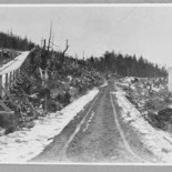 La burbuja de las carreteras de madera