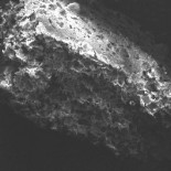 Implante de polímero hace que las células inmunitarias encuentren y ataquen a los tumores (ING)