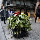 Seis operarios para quitar un macetero