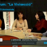 Tejados verdes para ciudades más limpias