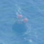 Eduardo Punset: "disfrutas más esperando algo, que cuando llega"