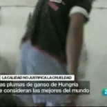 ¿La calidad justifica la crueldad? Mira el vídeo (45 segundos de duración)