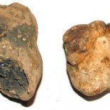 Descubren los cabellos humanos más antiguos de la historia: entre 195.000 y 257.000 años