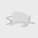 Koala recibiendo ayuda de los bomberos australianos